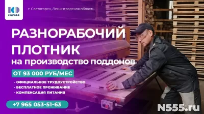 РАЗНОРАБОЧИЙ ПЛОТНИК